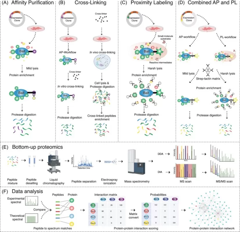 MS-based approaches to studying interactomes.